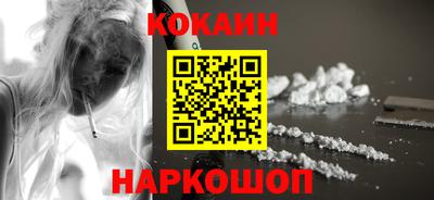 спайс Кингисепп