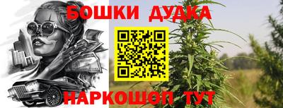 спайс Кингисепп