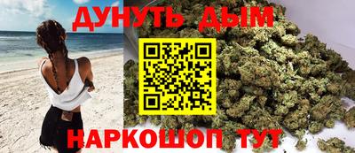 спайс Кингисепп
